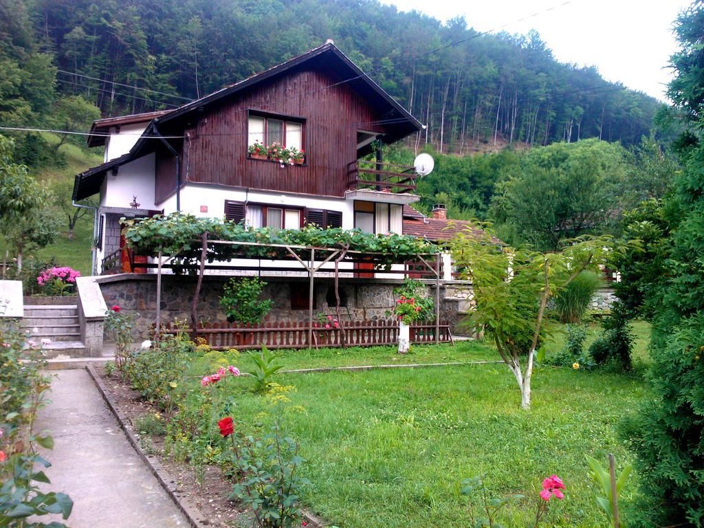 Villa Lalka Ribarica Bagian luar foto