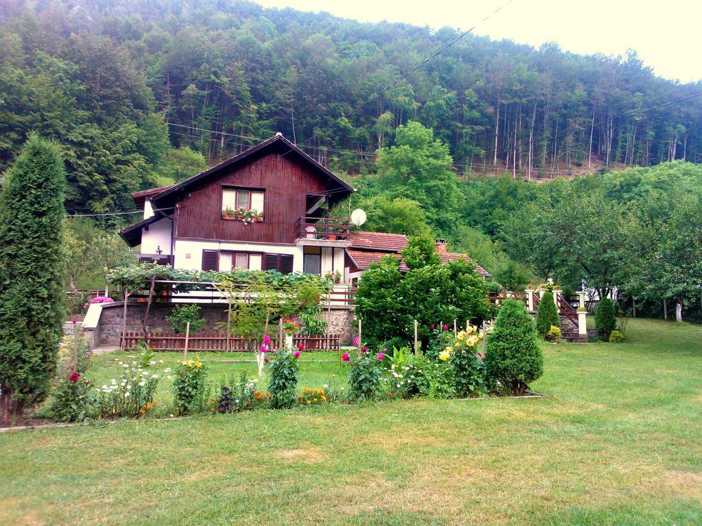Villa Lalka Ribarica Bagian luar foto